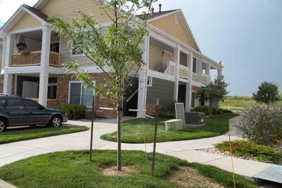 Loveland, Colorado, 2 Bedrooms Bedrooms, ,2 BathroomsBathrooms,Townhome,Furnished,Lakeshore at Centerra,Hahns Peak,1,1494