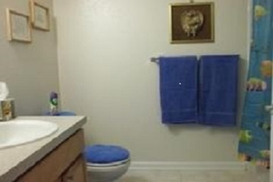 Loveland, Colorado, 2 Bedrooms Bedrooms, ,2 BathroomsBathrooms,Townhome,Furnished,Lakeshore at Centerra,Hahns Peak,1,1494