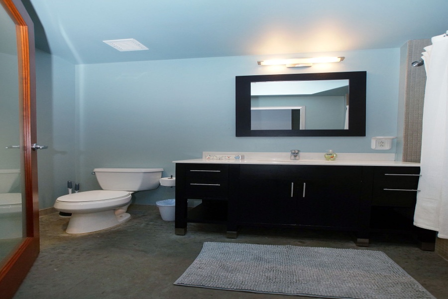 1136 Washington, St. Louis, Missouri, United States 63101, 2 Bedrooms Bedrooms, ,2 BathroomsBathrooms,Loft,Furnished,Meridian,Washington,4,1356