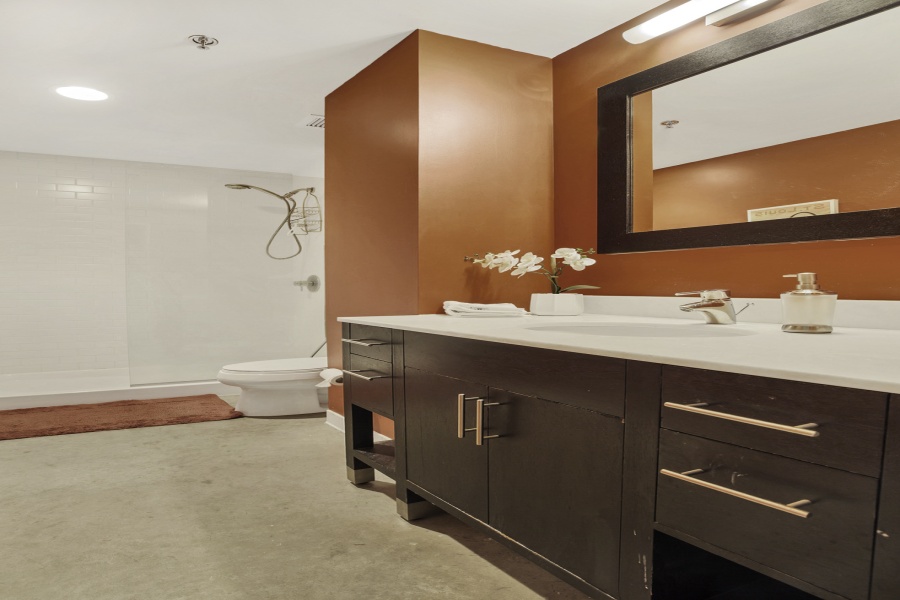 1136 Washington, St. Louis, Missouri, United States 63101, 2 Bedrooms Bedrooms, ,2 BathroomsBathrooms,Loft,Furnished,Meridian,Washington,6,1359
